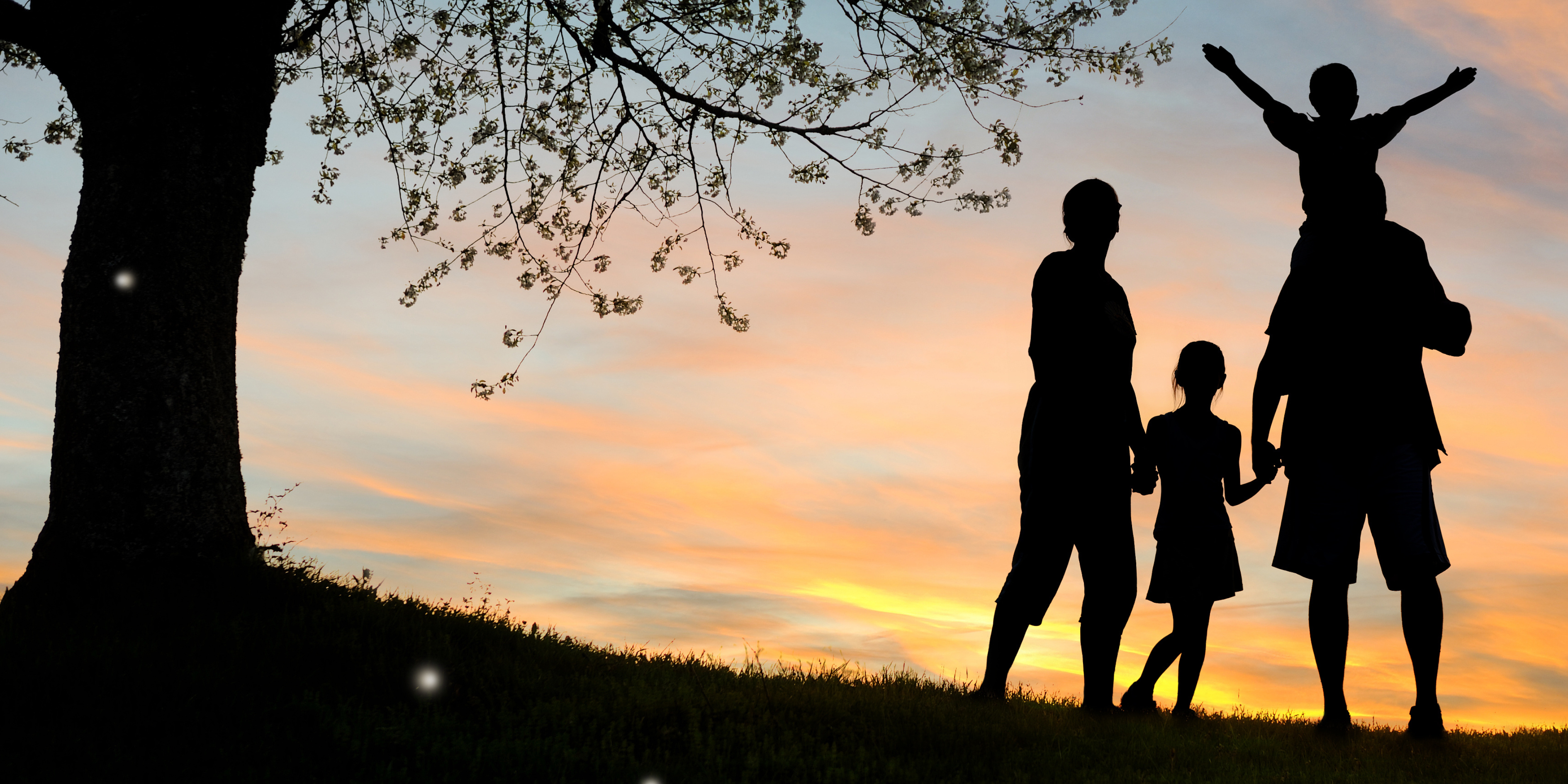 Estate Planning
